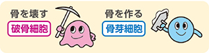 骨粗しょう症で骨が減るのはなぜ？